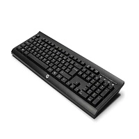 HP Wireless Keyboard K2500