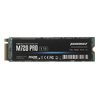 Tammuz-M2 SSD PRO 2TB 720