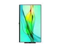 Samsung - 32" ViewFinity S6 S32D604UAIXCI, IPS, 100Hz, QHD (2560x1440) 2K, HDMI, DisplayPort, Type-C